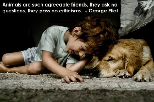 great dog quotes
